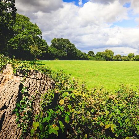 Вілла Oak Mead Рексем Екстер'єр фото